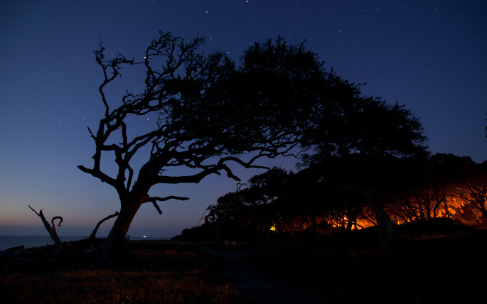 Jekyll Island original frame